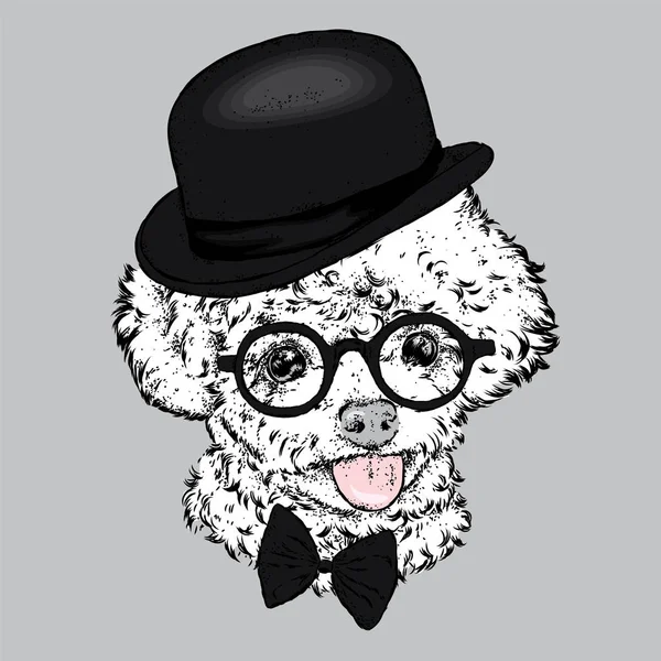 Poodle in a hat and glasses. Vector illustration. Clothes and accessories. Fashion & Style. — Stock Vector