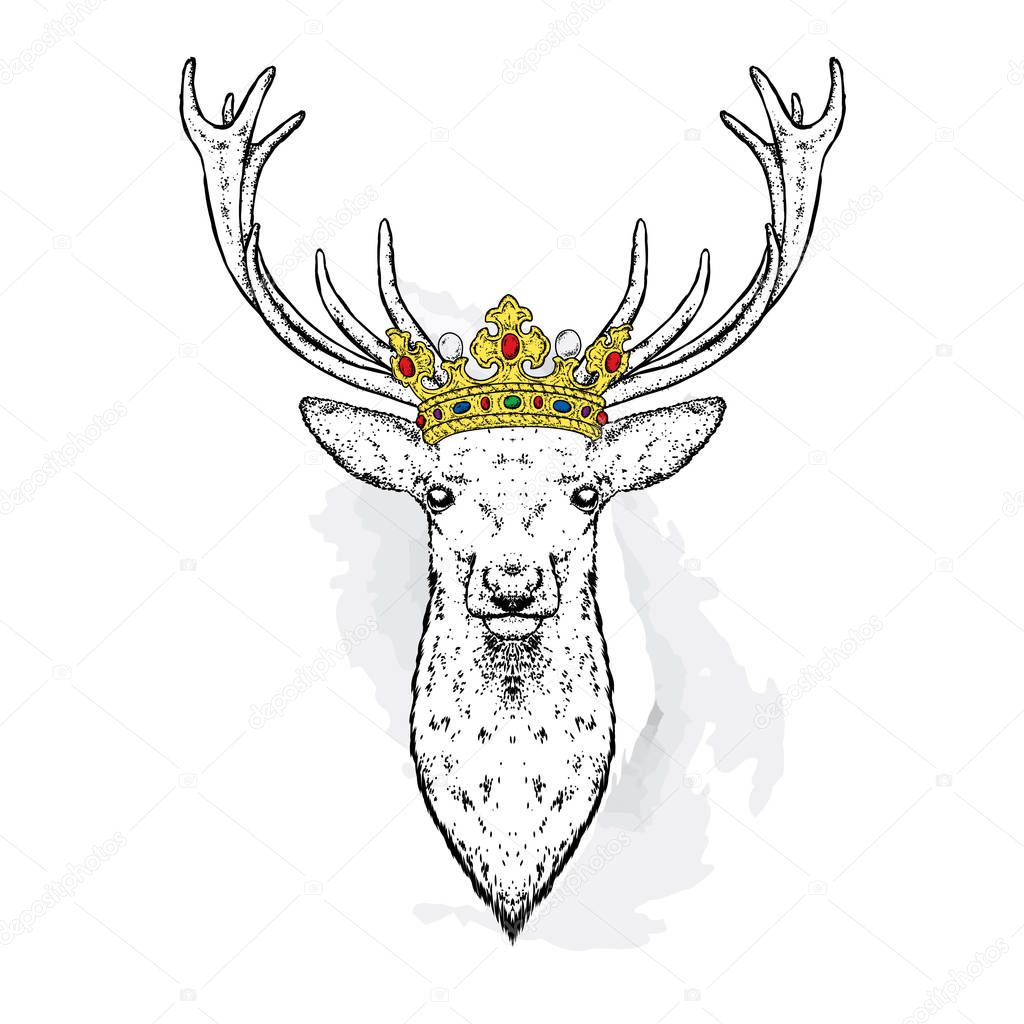 Beautiful deer in the crown. Vector illustration. King.