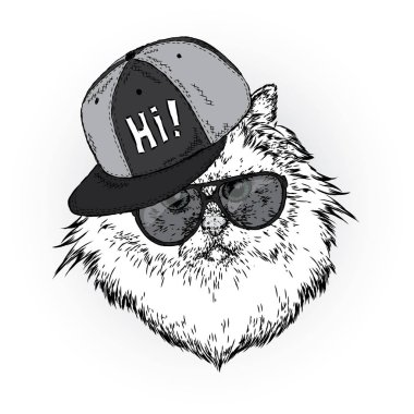 Bir kap ve gözlük güzel bir kedi. Vektör çizim bir kartpostal, poster ya da baskı için. Giysi ve aksesuarları.