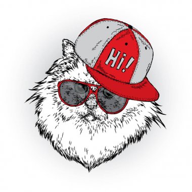 Bir kap ve gözlük güzel bir kedi. Vektör çizim bir kartpostal, poster ya da baskı için. Giysi ve aksesuarları.