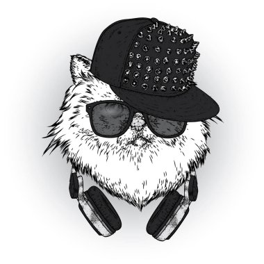 Bir kap ve kulaklık ile güzel bir kedi. Vektör çizim bir kartpostal, poster ya da baskı için. Giysi ve aksesuarları.