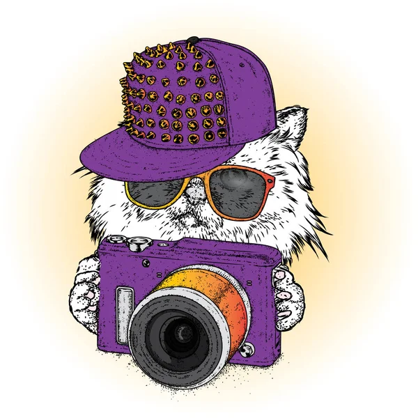 Een mooi kat in een pet, bril en met een camera. Vectorillustratie voor een briefkaart, poster of afdrukken. Kleding en accessoires. — Stockvector