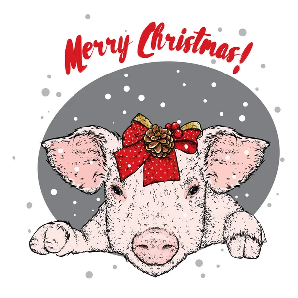 Свинья с рождественским бантом. Векторная иллюстрация. Милая маленькая свинья. Новый год и Рождество . — стоковый вектор