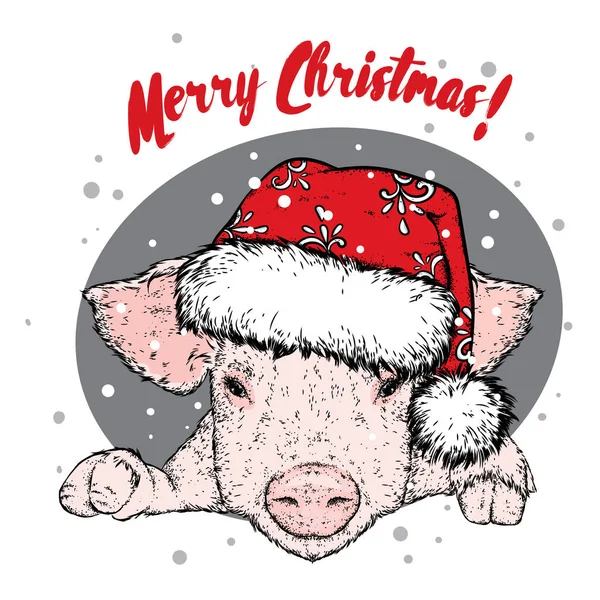 Свиня в новий рік капелюх. Санта-Клауса. Векторні ілюстрації. Солодкий мало свині. Новий рік і Різдво. — стоковий вектор