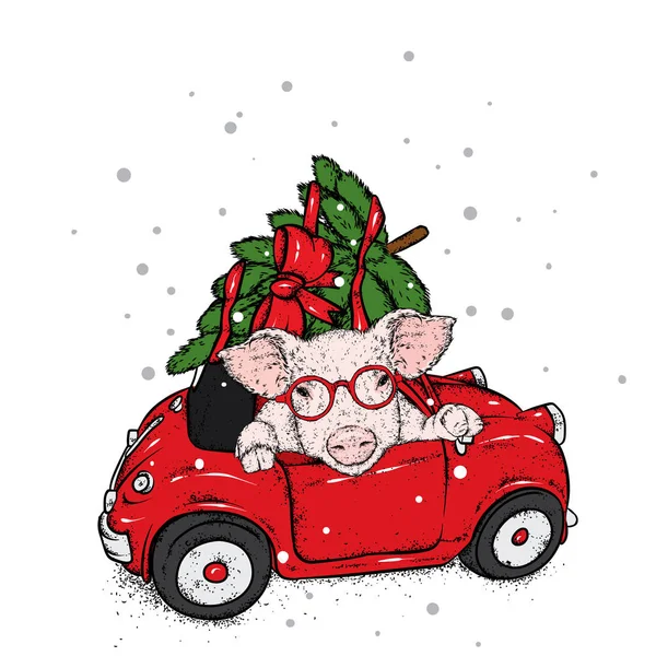 Gris i bilen med en julgran. Santa Claus. Vektorillustration. Söt liten gris. Nyår och jul. — Stock vektor