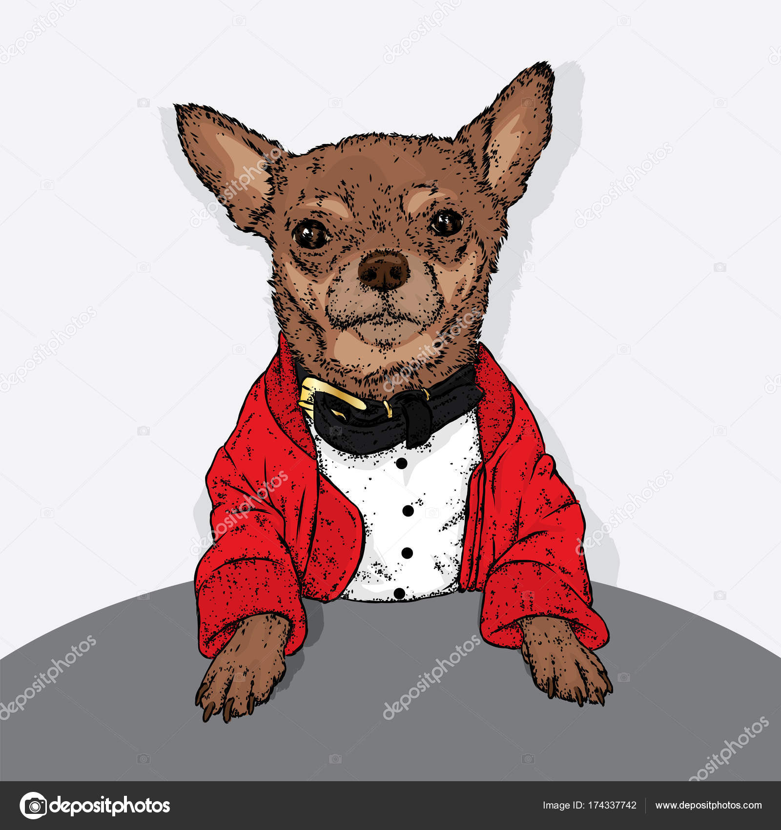 puppy clothes and accessories