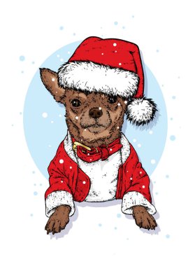 Bir Noel şapka güzel bir köpek. Vektör çizim. Yeni yıl ve Noel. Chihuahas ve yılbaşı süsleri. Safkan köpek.