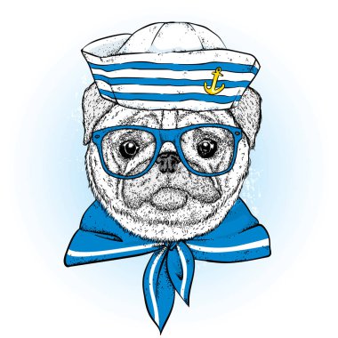 Denizci kıyafetleri güzel bir köpek. Vektör çizim. Hayvan giysiler ve aksesuarlar. Bir denizci bir şapka ve kravat. Safkan köpek yavrusu.