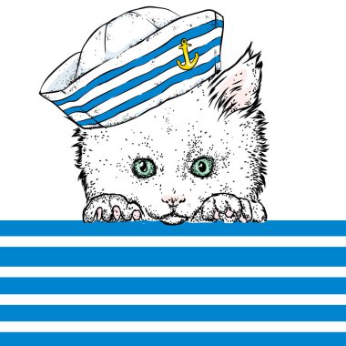 Denizci kıyafetleri içinde güzel bir kedi. Vektör çizim. Hayvan giysiler ve aksesuarlar. Bir denizci bir şapka ve kravat. Şirin kedi yavrusu.