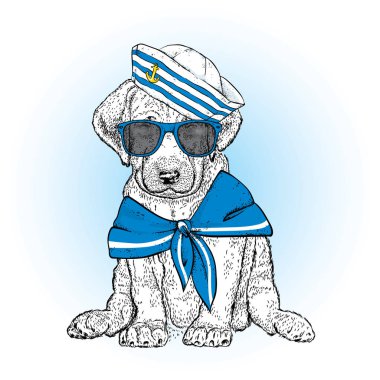 Denizci kıyafetleri güzel bir köpek. Vektör çizim. Hayvan giysiler ve aksesuarlar. Bir denizci bir şapka ve kravat. Safkan köpek yavrusu.