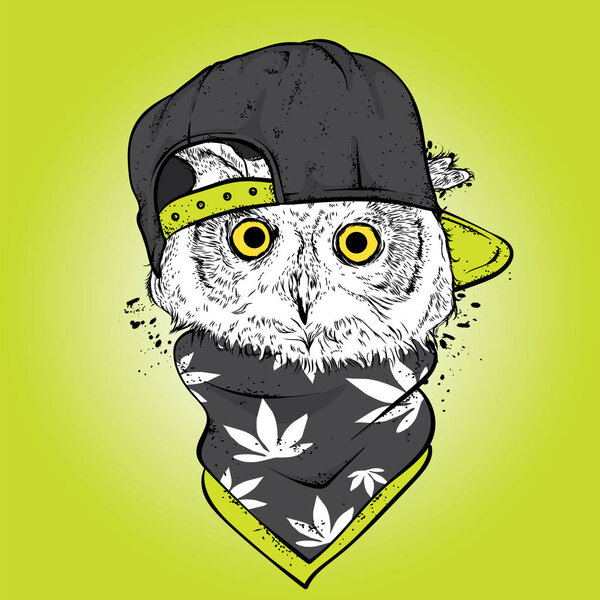 Сова в кепке и очках. Конопля, наркотики и кайф. Птица в одежде и аксессуарах. Крутой костюм.
.