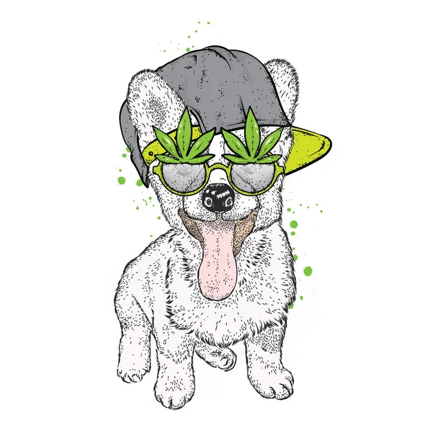 Dog Cap Glasses Hemp Drugs Buzz Corgi Purebred Puppy Clothes — Stock Vector