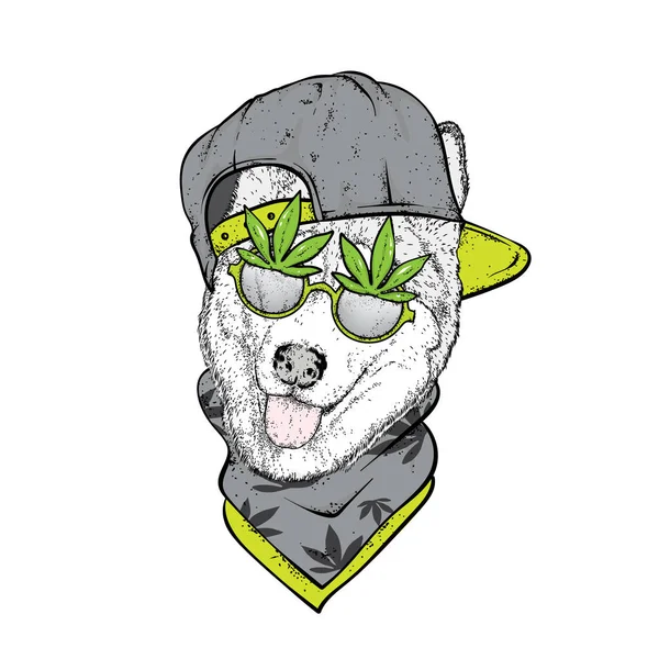 Ένα Σκυλί Ένα Καπέλο Και Γυαλιά Κάνναβης Ναρκωτικά Και Buzz — Διανυσματικό Αρχείο