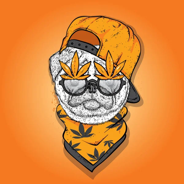 一只戴帽子戴眼镜的狗大麻 毒品和嗡嗡声帕格纯正的小狗在衣服和配件 好酷的服装 — 图库矢量图片