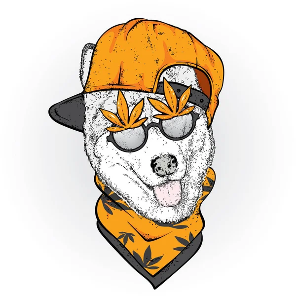 一只戴着帽子和眼镜的狗 大麻毒品和嗡嗡声沙哑 在衣服和配件的纯种小狗 酷炫的服装 — 图库矢量图片