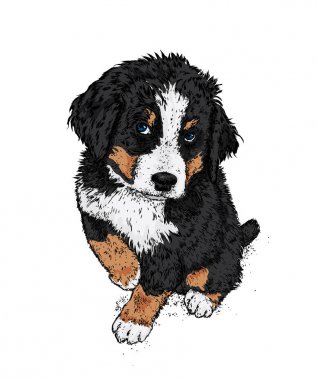 Yakışıklı bir köpek yavrusu. Vektör çizim. Safkan köpek boyalı. Hipster.