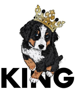 Beautiful dog in the crown. The Bernese zenenhund. Purebred puppy in clothes and accessories. Vector illustration for a postcard or poster, print on clothes, covers, covers or bags. clipart