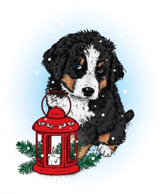 Vintage bir Noel fener ile güzel köpek yavrusu. Vektör çizim. Bir safkan köpek giysi ve aksesuarları. Yeni yıl ve Noel. Vintage bardak ve Noel topları.