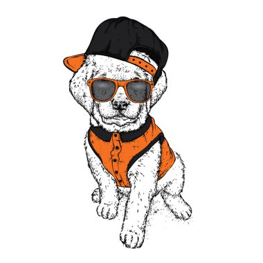 Bir kap ve gömlek içinde köpek yavrusu. Vektör çizim bir kartpostal veya poster, giysiler için yazdırma için. Şirin köpek. Labrador. Giysi ve aksesuarları.