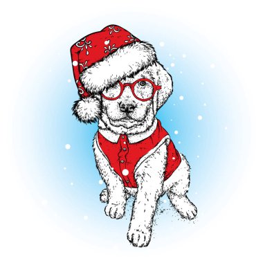 Güzel bir köpek yavrusu bir yeni yıl kap ve bir yelek. Vektör çizim. Bir safkan köpek giysi ve aksesuarları. Yeni yıl ve Noel.