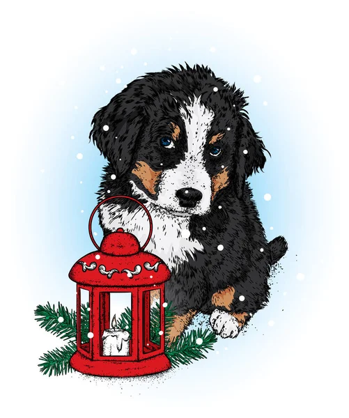 Cachorro Bonito Com Uma Lanterna Natal Vintage Ilustração Vetorial Cão — Vetor de Stock