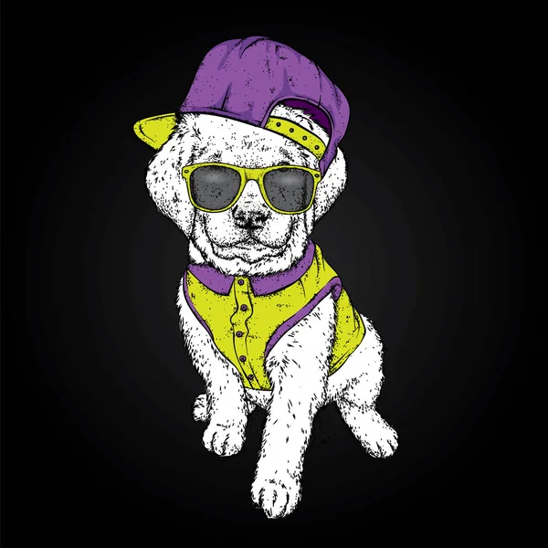 Cachorro Con Gorra Camisa Ilustración Vectorial Para Una Postal Póster — Archivo Imágenes Vectoriales