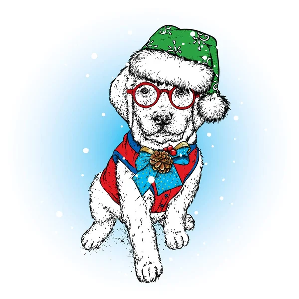 모자와 조끼에 강아지 일러스트입니다 액세서리에 강아지입니다 크리스마스 — 스톡 벡터