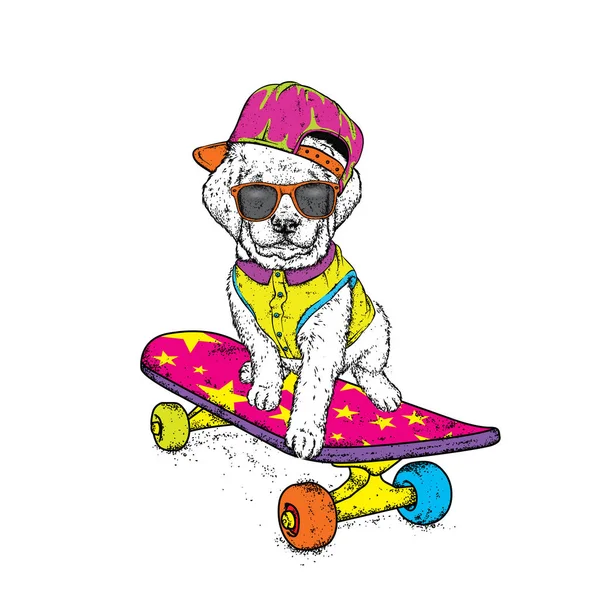 Lustiger Hund Auf Einem Skateboard Vektorillustration Rassehund Welpe Mit Mütze — Stockvektor