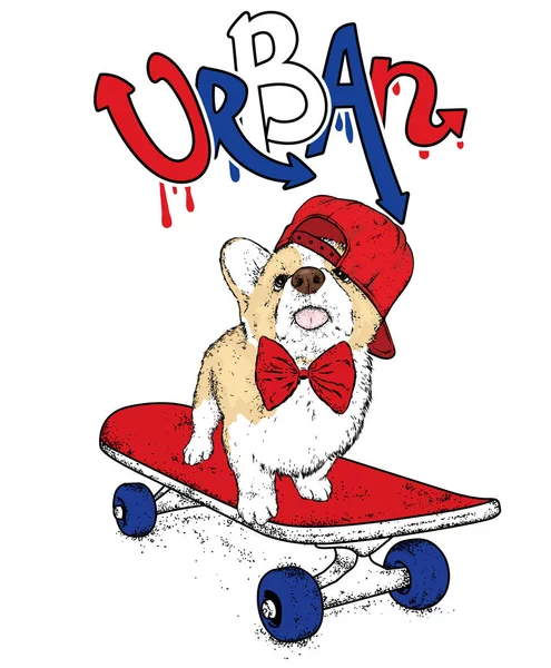 Grappige Hond Een Skateboard Vectorillustratie Rashond Pup Het Dragen Van — Stockvector