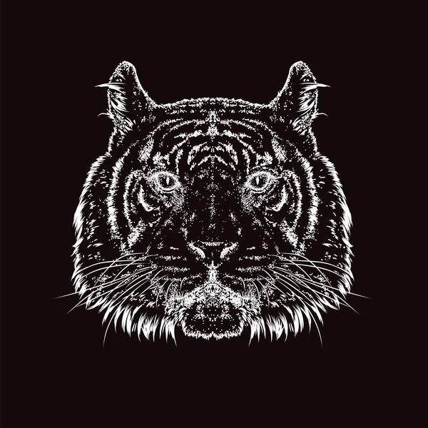 Прекрасный Тигр Векторная Иллюстрация Дикое Животное Хищник — стоковый вектор