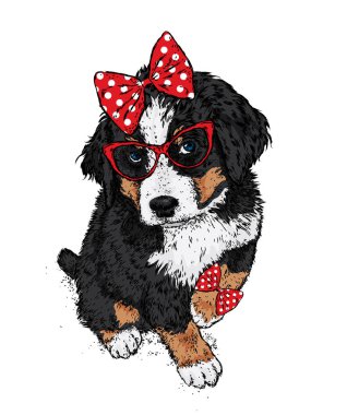 Gözlük ve bir yay ile şirin köpek. Vektör çizim. Safkan köpek giysi ve aksesuarlar. Kız.