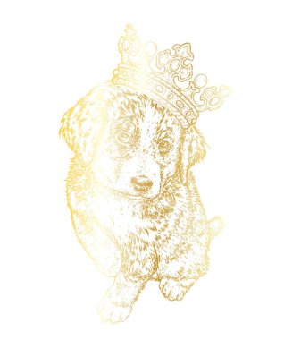 Taç güzel köpek. Bernese zenenhund. Safkan köpek giysi ve aksesuarlar. Vektör çizim bir kartpostal veya poster, kıyafet, yazdırma için kapakları, kapak ya da çanta.