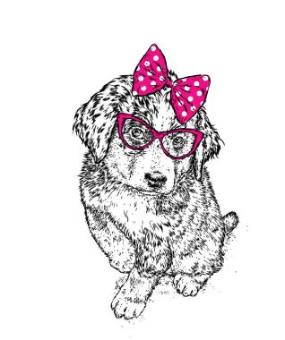 Gözlük ve bir yay ile şirin köpek. Vektör çizim. Safkan köpek giysi ve aksesuarlar. Kız.
