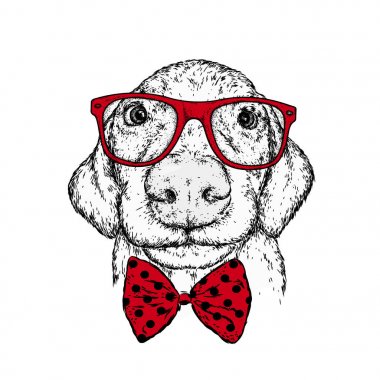 Köpek yavrusu bir gözlük ve bir kravat. Vektör çizim bir kartpostal veya poster, giysiler için yazdırma için. Bir safkan köpek giysi ve aksesuarlar.