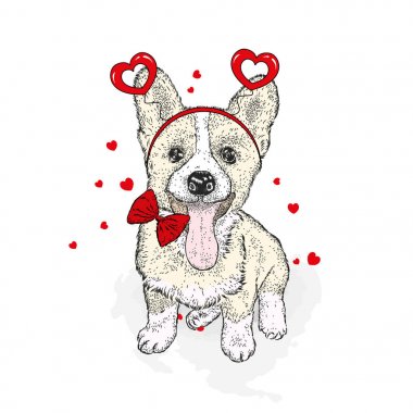 Komik köpek aksesuarları yürekleri. Vektör çizim bir kartpostal veya poster, giysiler için yazdırma için. Sevgililer günü, sevgi ve dostluk.