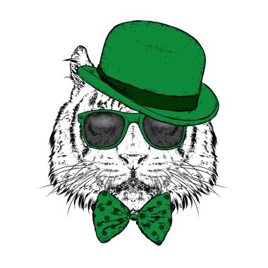 Güzel bir kaplan bir şapka ve gözlük. Vektör çizim. Vahşi hayvan, predator.