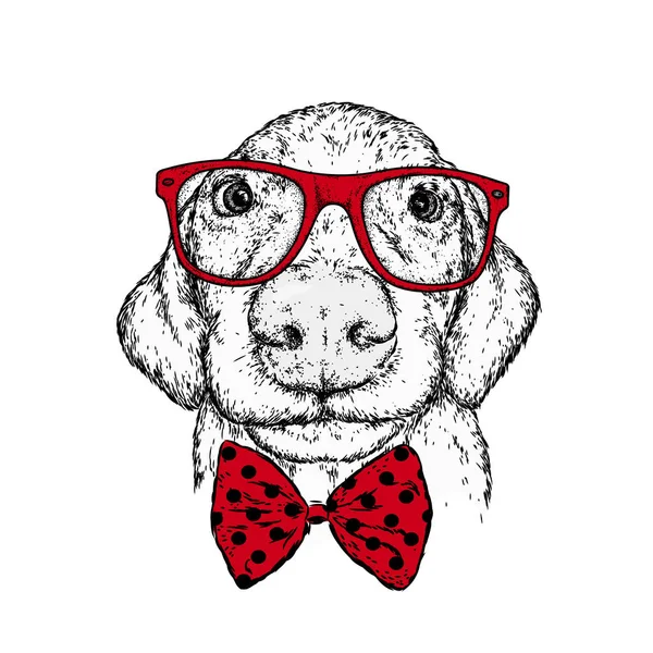 Puppy in a glasses and a tie. Vector illustration for a postcard or a poster, print for clothes. A pedigree dog in clothes and accessories.