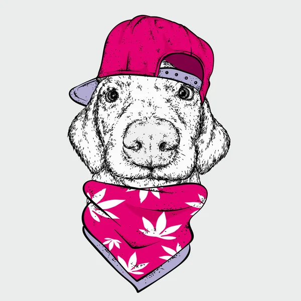 一只戴着帽子和眼镜的狗 大麻毒品和嗡嗡声 在衣服和配件的纯种小狗 酷炫的服装 — 图库矢量图片