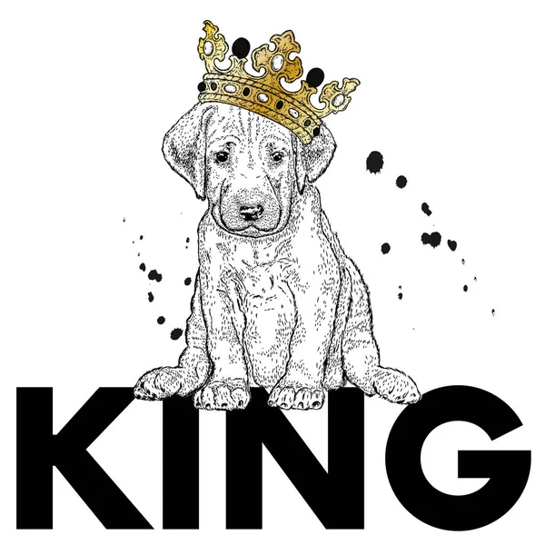 皇冠上的漂亮狗在衣服和配件的纯种小狗 明信片或海报的矢量插图 为衣服打印 — 图库矢量图片