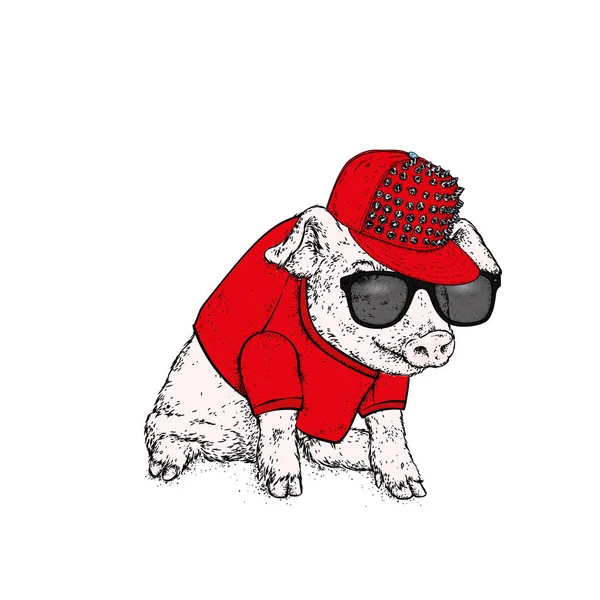 Cochon Dans Les Lunettes Casque Une Casquette Illustration Vectorielle Sport — Image vectorielle