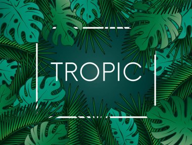 Palm ile şık arka plan bırakır. Güzel konsept tasarımı tropikal poster, afiş, kapak veya kartpostal. Vektör çizim. EPS 10. Yaz.