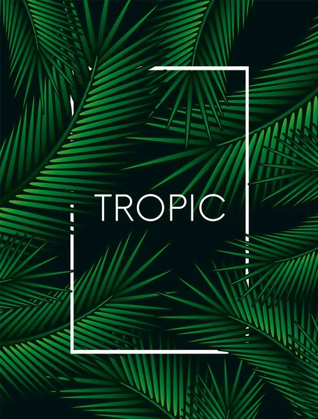 Fondo Elegante Con Hojas Palma Hermoso Diseño Conceptual Póster Tropical — Vector de stock