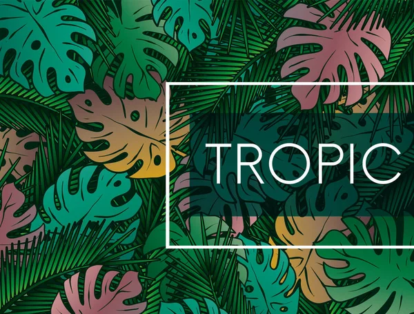 时尚的背景与棕榈叶 美丽的概念设计的热带海报 封面或明信片 矢量插图 Eps — 图库矢量图片