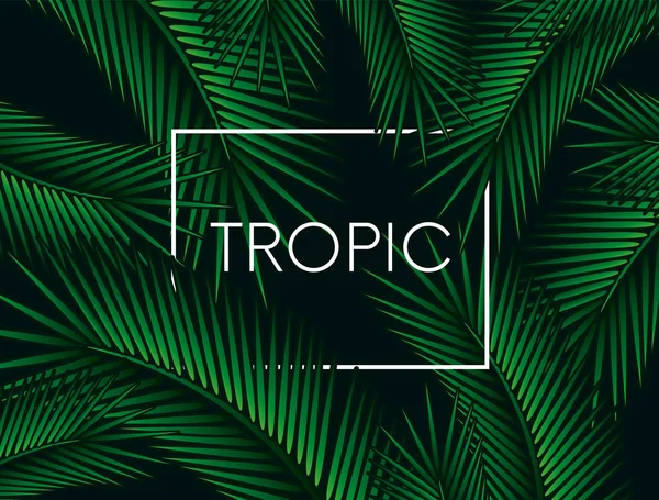 Fondo Elegante Con Hojas Palma Hermoso Diseño Conceptual Póster Tropical — Vector de stock