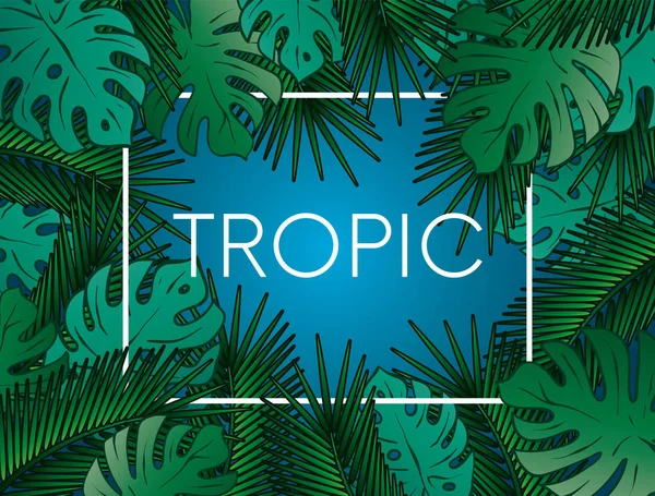 时尚的背景与棕榈叶 美丽的概念设计的热带海报 封面或明信片 矢量插图 Eps — 图库矢量图片