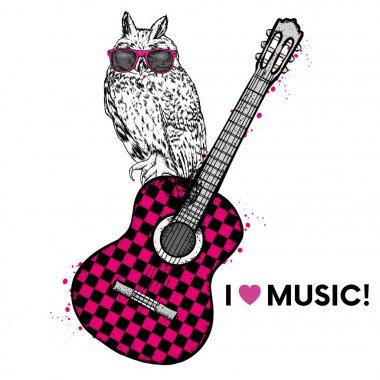 Gözlük ve bir gitar ile komik bir baykuş. Vektör çizim.