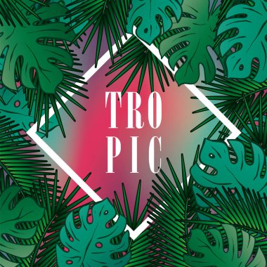 Palm ile şık arka plan bırakır. Güzel konsept tasarımı tropikal poster, afiş, kapak veya kartpostal. Vektör çizim. EPS 10. Yaz.