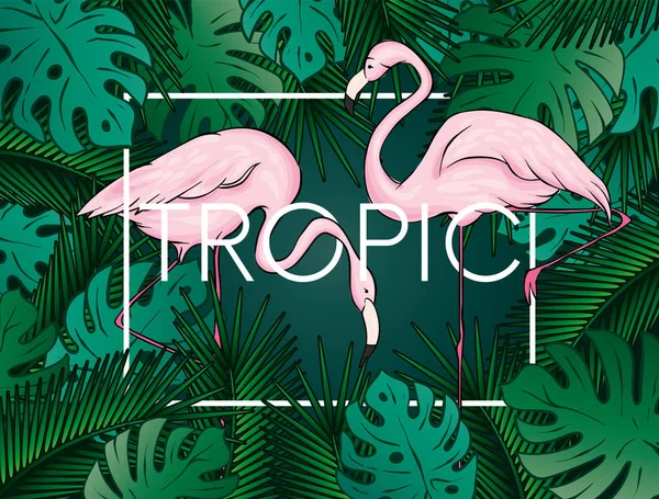 Fondo Elegante Con Hojas Palma Hermoso Diseño Conceptual Póster Tropical — Vector de stock