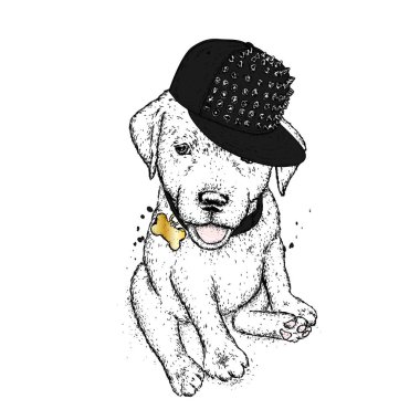 Bir kap içinde köpek yavrusu. Vektör çizim bir kartpostal veya poster, giysiler için yazdırma için. Şirin köpek. Labrador. Giysi ve aksesuarları.