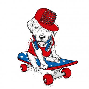 Bir kaykay üzerinde komik köpek. Vektör çizim. Safkan köpek. Bir kap ve kulaklıklar giyen köpek yavrusu.